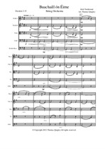 Buachaill On Eirne (String Orchestra)
