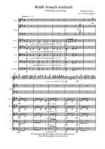 Beidh Aonach Amárach (Flute, Harp, Strings)